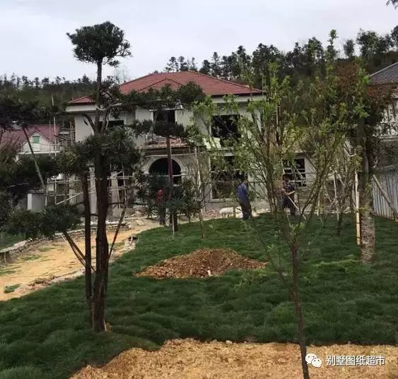 自建地中海風(fēng)格別墅